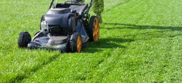 grass cutting services agent